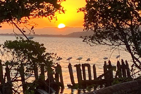 Aquascene Magnetic Island Sunset & Shipwreck Tour - Tourism Caloundra 2