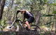 Surf & EMtn Bike = Epic Half Day Tour - thumb 26