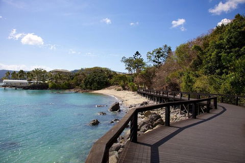 Rainforest To Reef Experience - Reef And Beyond Guided Holidays - Tourism Caloundra 4