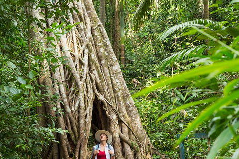 Rainforest To Reef Experience - Reef And Beyond Guided Holidays - Tourism Caloundra 2