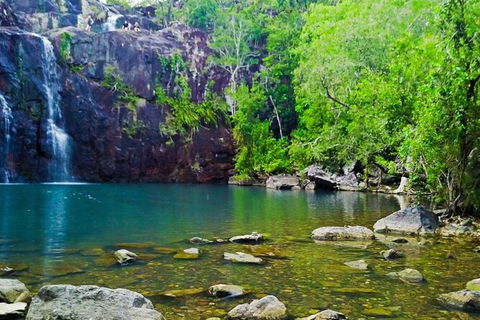 Rainforest To Reef Experience - Reef And Beyond Guided Holidays - Tourism Caloundra 5