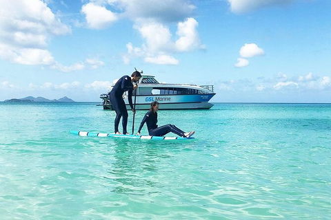 Rainforest To Reef Experience - Reef And Beyond Guided Holidays - Tourism Caloundra 3