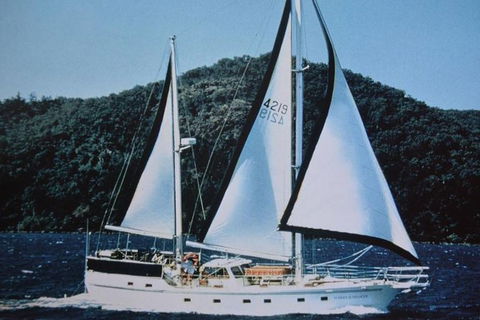 Great Barrier Reef Private Expedition Cruise (min 4 Day Max 8 Guests) - Tourism Caloundra 2