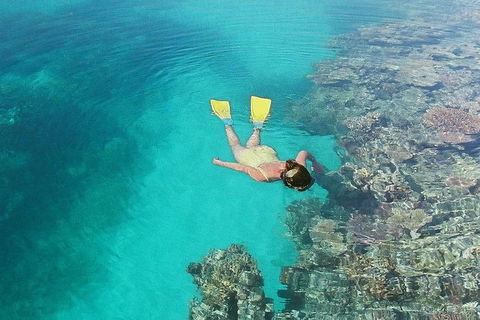 Great Barrier Reef Private Expedition Cruise (min 4 Day Max 8 Guests) - Tourism Caloundra 6