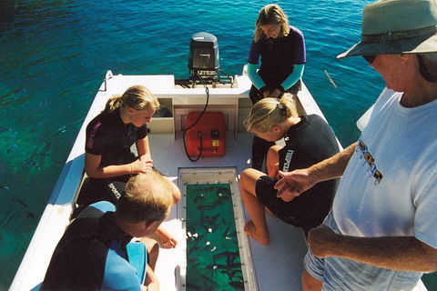 Great Barrier Reef Private Expedition Cruise (min 4 Day Max 8 Guests) - Tourism Caloundra 1