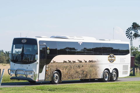 Winton Discovery Day Tour - Tourism Caloundra 4