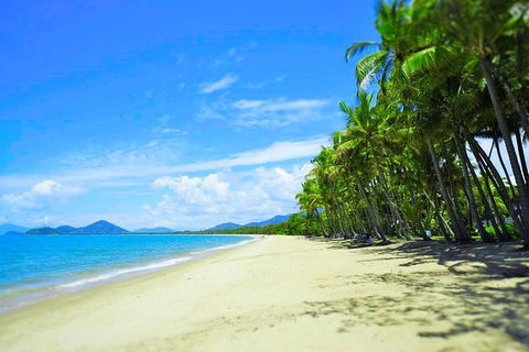 Airport Transfer - Palm Cove, Kewarra Beach & Trinity Beach To Cairns Airport - Tourism Caloundra 2