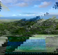 Daintree Luxury Limousine Tour - Full Day - Tourism Caloundra