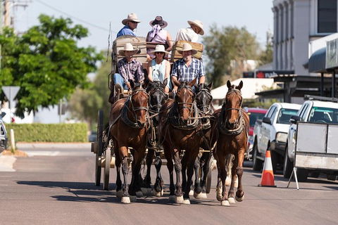 Cobb And Co Stagecoach Experience - Tourism Caloundra 6