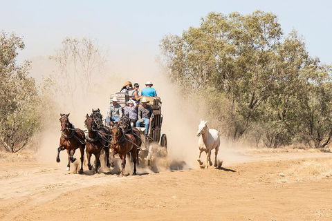 Cobb And Co Stagecoach Experience - Tourism Caloundra 0