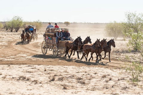 Cobb And Co Stagecoach Experience - Tourism Caloundra 4