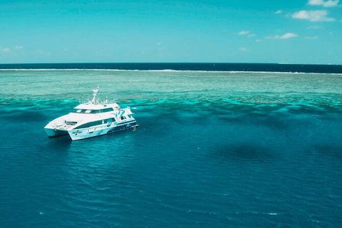 Australia East Coast: End Of Semester - Tourism Caloundra 1