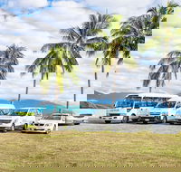 Private Transfers - Cairns Airport to Palm Cove - Tourism Caloundra