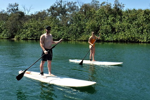 Paddle Board Hire In Surfers Paradise - Tourism Caloundra 2
