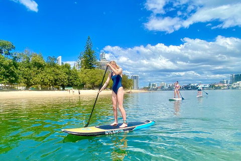 Paddle Board Hire In Surfers Paradise - Tourism Caloundra 0