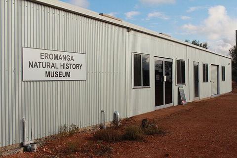 Australian Dinosaur Giants Tour - Tourism Caloundra 4