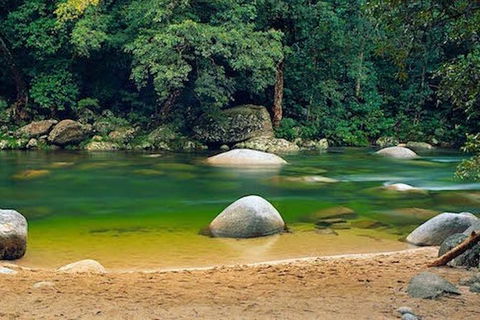 SHUTTLE - Mossman Gorge & Cooya Beach From Port Douglas (Return Transfer) - Tourism Caloundra 1