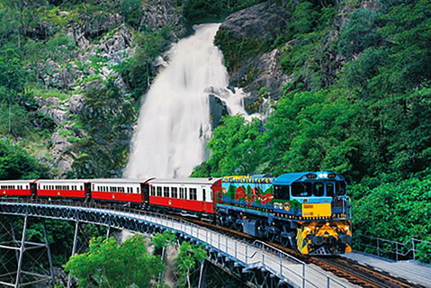 Day Tour To Kuranda, Rainforest And Port Douglas With Flight - Tourism Caloundra 4
