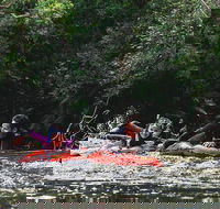 Mossman Gorge Adventure Day - Tourism Caloundra
