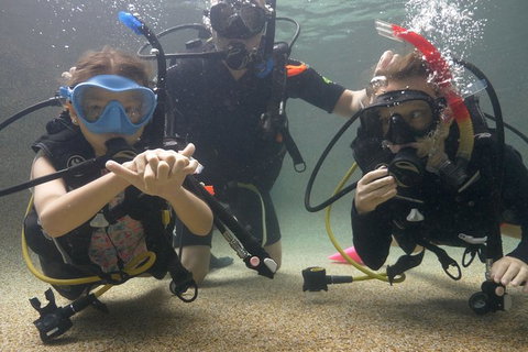 Scuba Kids- Padi Bubblemaker Course - Tourism Caloundra 4