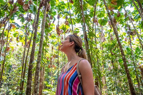 5 Day Australia Retreat: Queensland Daintree - Tourism Caloundra 3