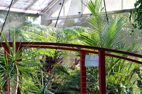 Australian Butterfly Sanctuary- Virtual Interactive Tour With Private Guide - Tourism Caloundra 2