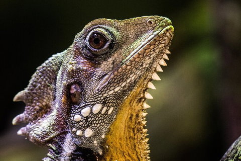 Cairns Aquarium By Twilight With 3 Course Dinner - Tourism Caloundra 5