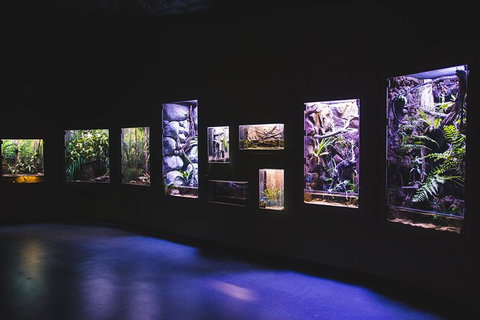 Cairns Aquarium By Twilight With 3 Course Dinner - Tourism Caloundra 3