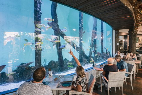 Cairns Aquarium Tour By Twilight With Drink And Appetiser - Tourism Caloundra 1