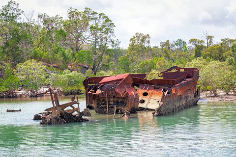 Sandy Straits Scenic & Wildlife Cruise - Tourism Caloundra 9