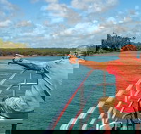 Sandy Straits Scenic  Wildlife Cruise - Tourism Caloundra