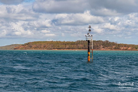 Sandy Straits Scenic & Wildlife Cruise - Tourism Caloundra 6