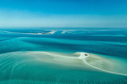 Sandy Straits Scenic & Wildlife Cruise - Tourism Caloundra 5