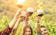 Barossa Valley Cellar Doors Luxury Wine Tour - thumb 3