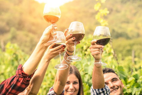 Barossa Valley Cellar Doors Luxury Wine Tour - Tourism Caloundra 3