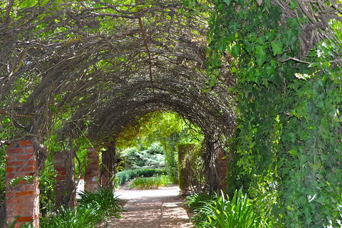 Barossa Valley Cellar Doors Luxury Wine Tour - Tourism Caloundra 4