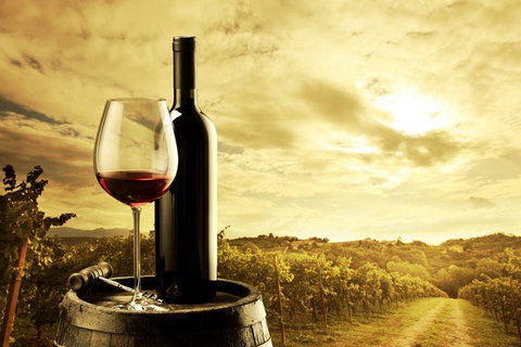 Barossa Valley Cellar Doors Luxury Wine Tour - Tourism Caloundra 0