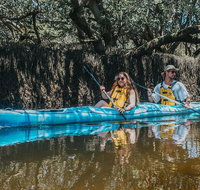 Kayak Tour in Adelaide Dolphin Sanctuary - Tourism Caloundra