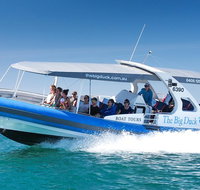 Seal Island Boat Tour from Victor Harbor - Tourism Caloundra