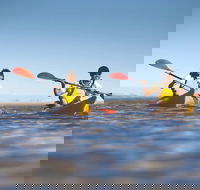 Kangaroo Island Self-Guided Kayaking on the Harriet River - Tourism Caloundra