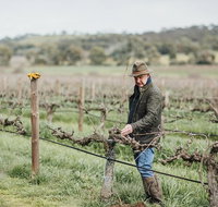 Armagh Vineyard Exclusive wine experience and lunch - Tourism Caloundra