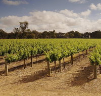 Private Langhorne Creek Wine Region Tour from Adelaide - Tourism Caloundra