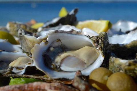 Coffin Bay Oysters, Ocean & Nature Tour - Tourism Caloundra 8