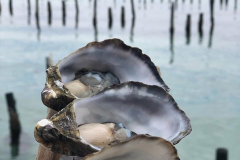 Coffin Bay Oysters, Ocean & Nature Tour - Tourism Caloundra 6