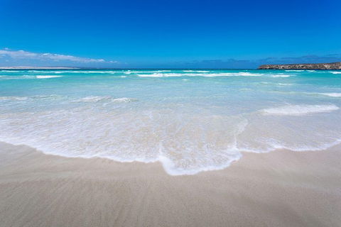 Coffin Bay Oysters, Ocean & Nature Tour - Tourism Caloundra 14