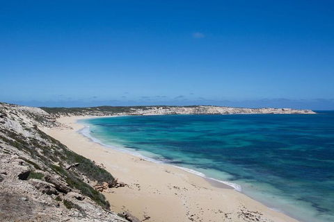 Coffin Bay Oysters, Ocean & Nature Tour - Tourism Caloundra 16