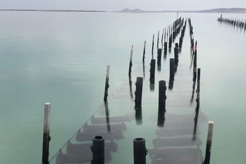 Coffin Bay Oysters, Ocean & Nature Tour - Tourism Caloundra 15