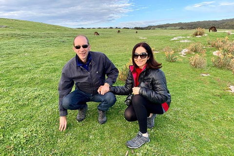 Kangaroo Island 4WD - Seal Bay - Tourism Caloundra 5