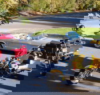 Ultimate Barossa Adventure Day Tour For 2 - Combined Mustang Convertible-Trike - Tourism Caloundra