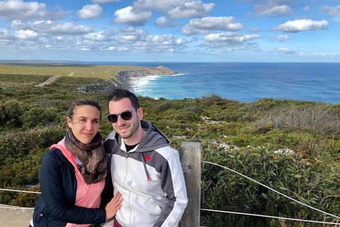 NEW TOUR - Flinders Chase Tour (Recovering From Fires) - Tourism Caloundra 3
